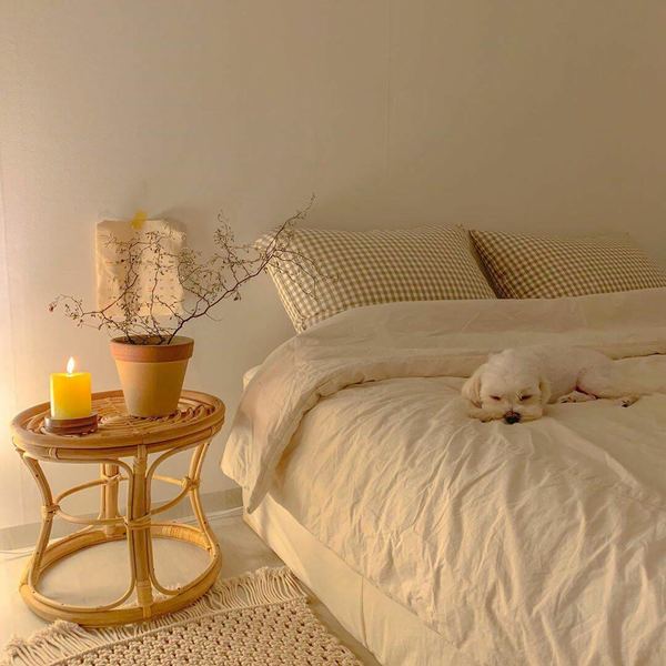 拖延症怎么治？心理咨询师建议你这样做