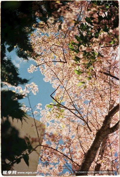 禁忌情感当事人的心理状态分析