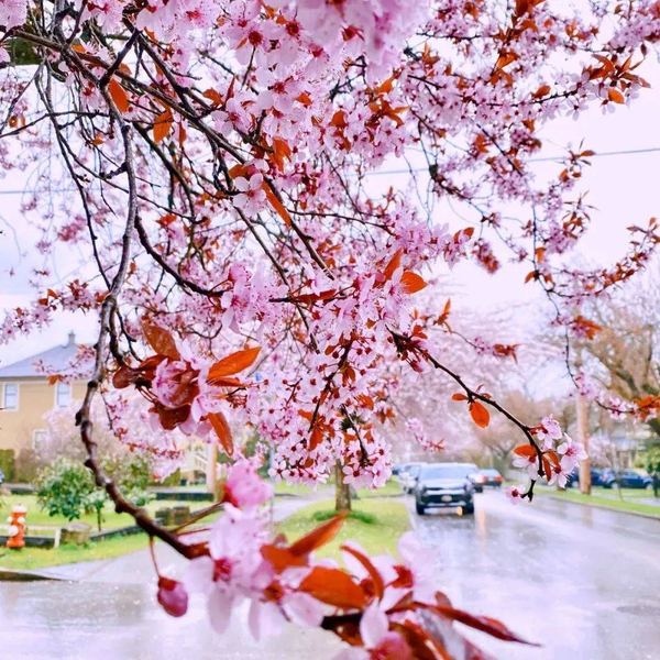 睡眠心理：对象脾气大怎么相处的6个信号，中3个就该重视了