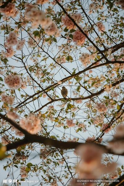 夫妻分居多久感情会变淡：3个技巧让你不再反复纠结