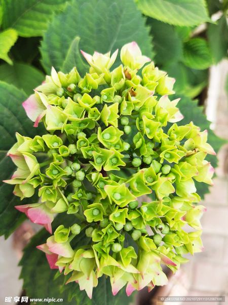 远程办公效率低怎么办：看懂这篇你就释然了