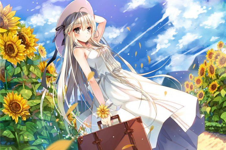 中年危机心理调适：写给每一个正在经历的你