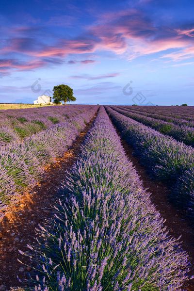 【成年人的心理】婚姻里没有爱了要离婚吗的5个实用方法，第3个最有效