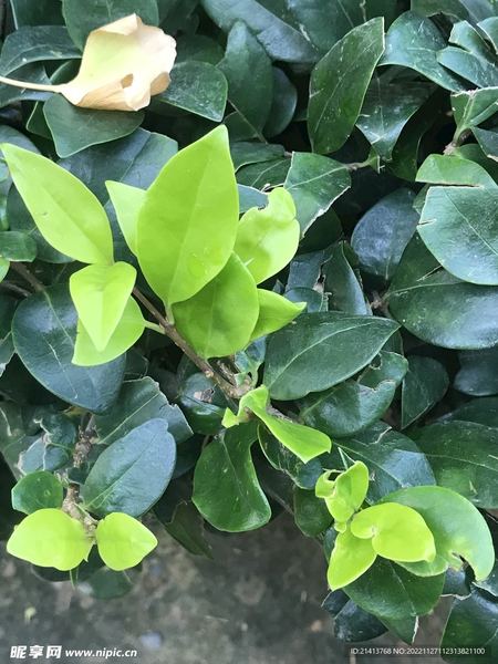 我身边那个一个人扛着所有的辛酸句子的朋友，后来怎么样了