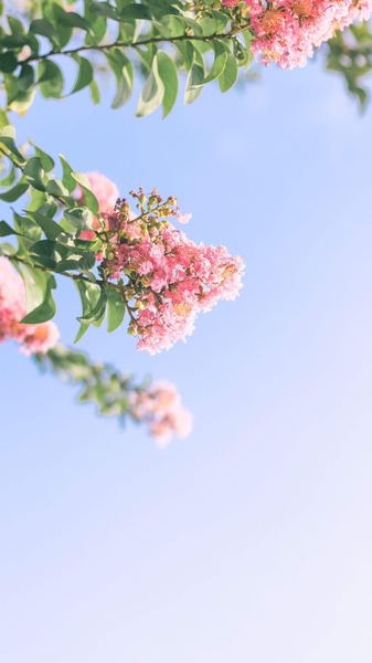 金牛座女生怎么追的真实案例，值得每个人看看