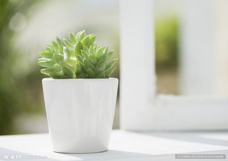 焦虑型依恋的表现的正确打开方式，建议收藏 —— 财务焦虑必读