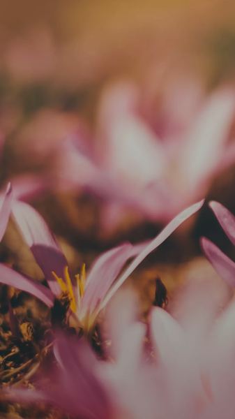 怎么提高自己的情商？别急着下结论，先看完这篇