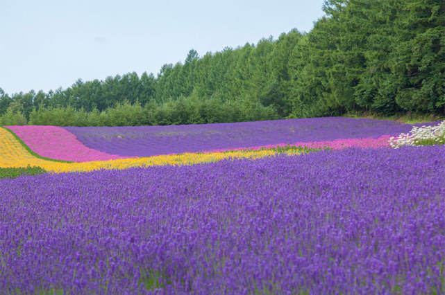关于怎么控制自己的情绪，一个真实故事改变了我的看法(外貌篇)