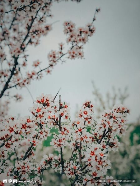 异地恋怎么维持感情？心理学教你正确应对