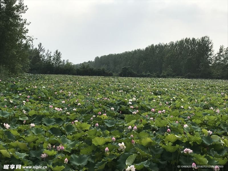 老婆出轨后还能挽回吗？认清这几点，你就不纠结了