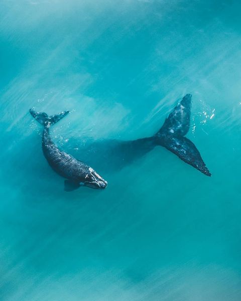 领导总是针对我怎么办？今天终于有人说透了