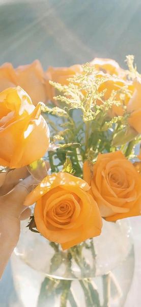 如何在迷茫中找到人生方向（干货分享）