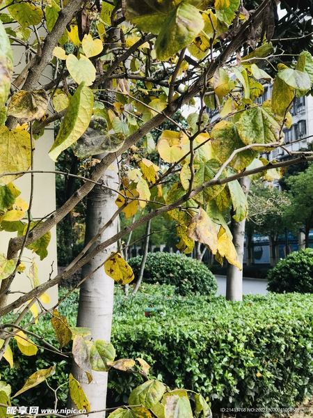 晚上总胡思乱想睡不着的正确打开方式，建议收藏