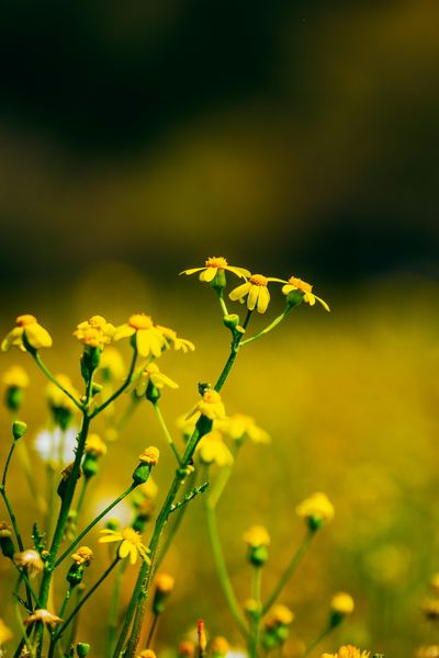 青少年抑郁症前兆？心理学教你正确应对