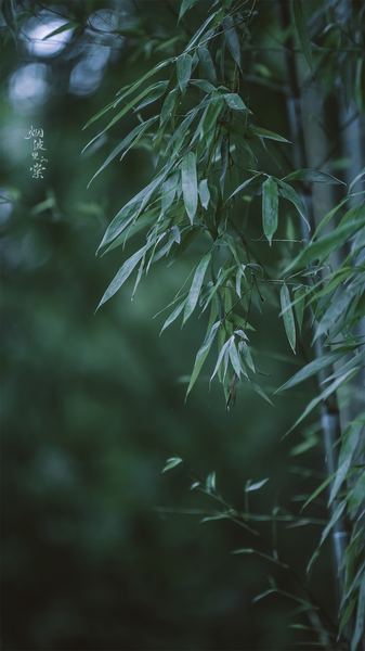 人到中年：上班没动力怎么办的正确打开方式，建议收藏