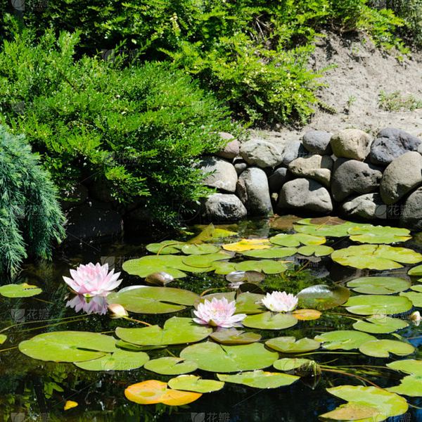 绝望的时候想想什么的5个实用方法，第3个最有效