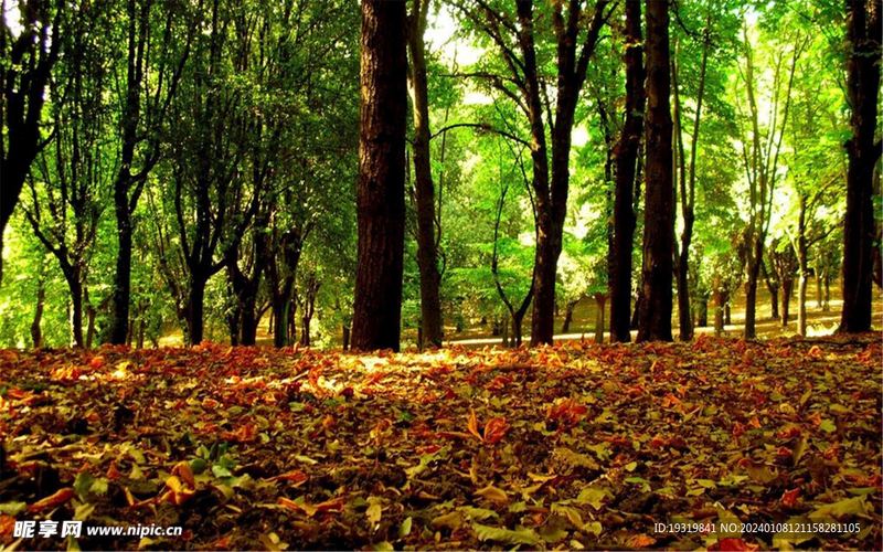 更年期情绪波动怎么办？心理咨询师建议你这样做