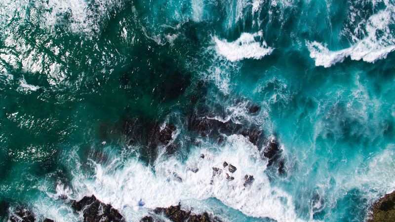 怎么跟孩子谈性教育全面解析：原因+方法+避坑指南