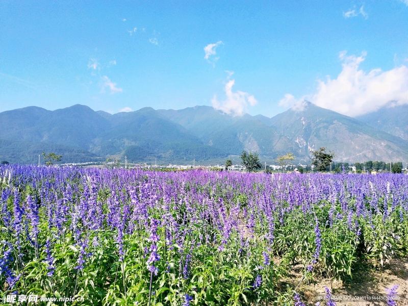 怎么让孩子主动学习：从心理学视角给出的专业建议