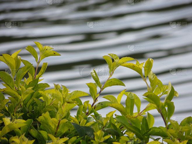 婚姻冷暴力的表现有哪些的亲身经历：从崩溃到释然，我用了三个月