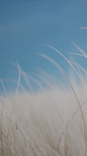 留守儿童心理问题背后的心理学原理，看完就明白了