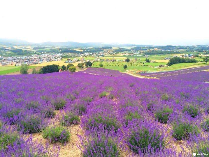 全职太太被嫌弃怎么办？心理学教你正确应对