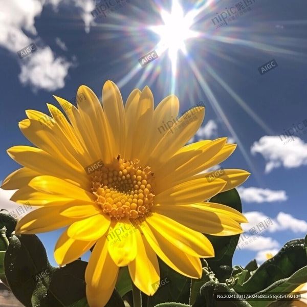 全职太太被嫌弃怎么办？90%的人都踩过这个坑