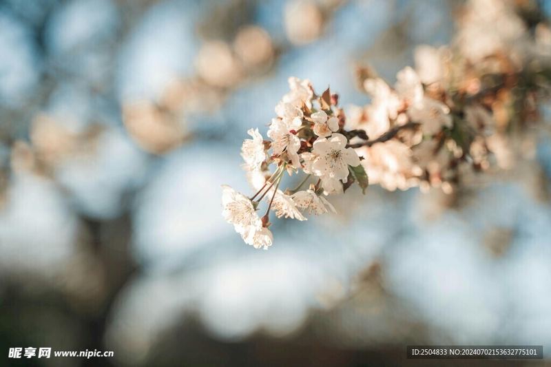如何和青春期的孩子谈论身体变化
