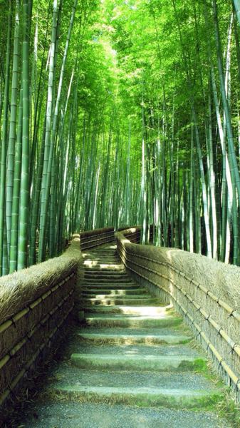 怎么调节生物钟？认清这几点，你就不纠结了