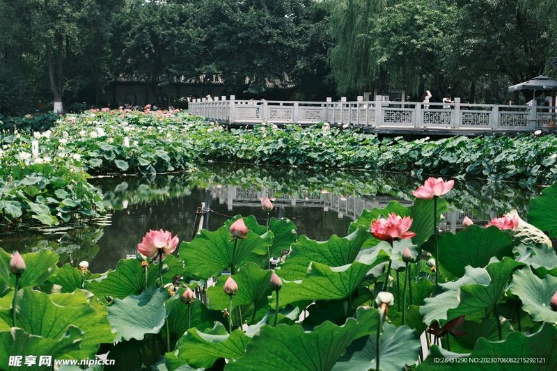 心理咨询有用吗要花多少钱自救手册：从今天开始改变