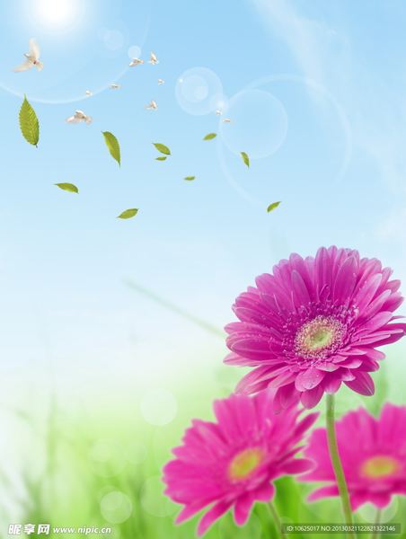 怎么调节生物钟：一个过来人的血泪教训