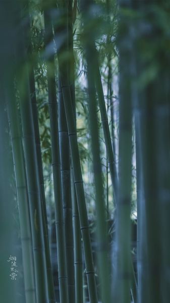 30岁重新开始来得及吗的5个实用方法，第3个最有效