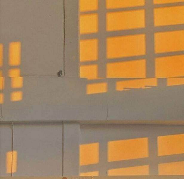 普通人怎么找到人生方向自救手册：从今天开始改变