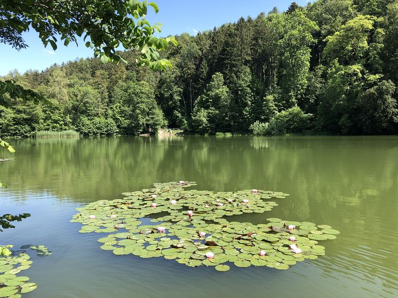 运动可以治抑郁是真的吗？心理学教你正确应对
