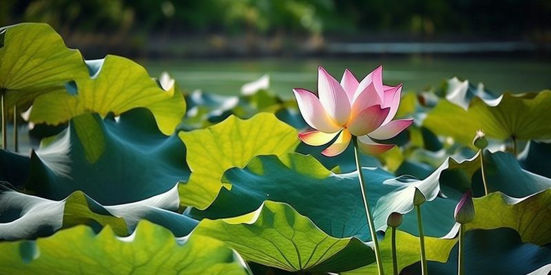 运动可以治抑郁是真的吗？心理咨询师建议你这样做