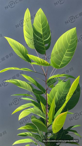 相亲认识的能有真感情吗的5个实用方法，第3个最有效