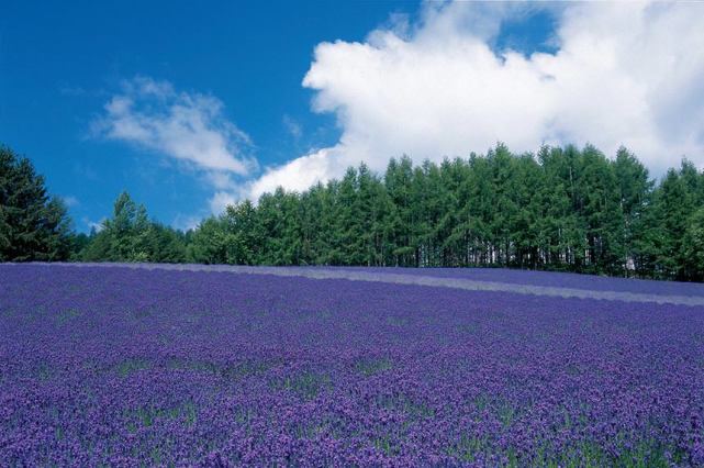 【心理减压】儿童分离焦虑怎么处理？先搞清楚这3个问题再做决定