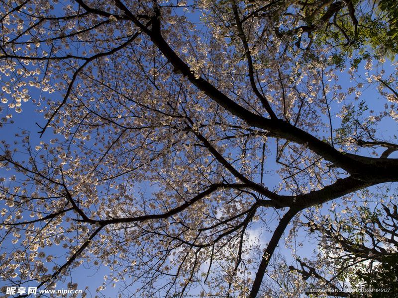 被领导PUA了怎么反击？90%的人都踩过这个坑