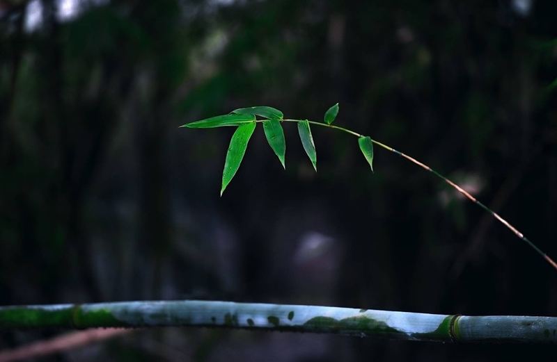 中年转折：失眠怎么快速入睡小妙招？心理学教你正确应对