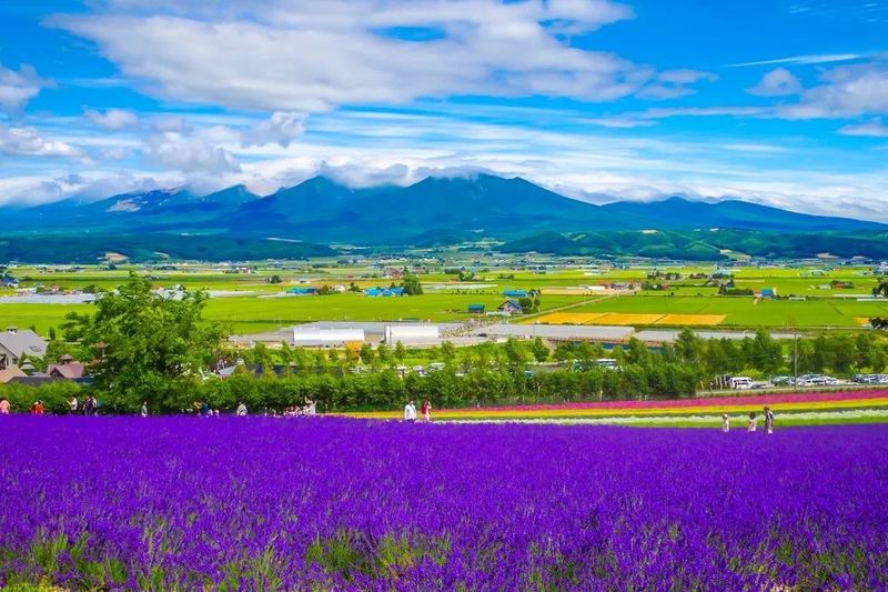 孩子自卑内向怎么培养？资深心理师总结的7条建议