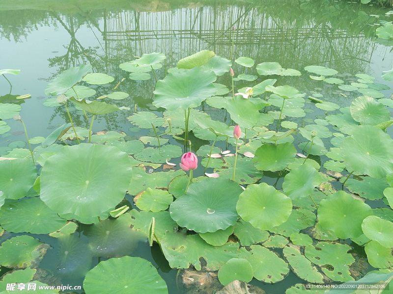 【内耗自救】边缘型人格障碍有哪些症状：一个过来人的血泪教训