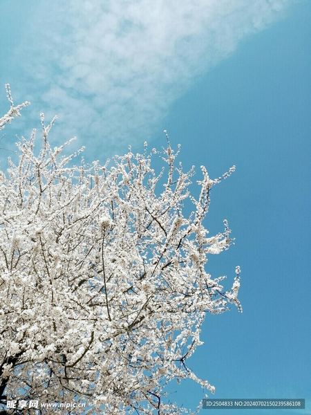 抑郁症患者的自愈故事的5个实用方法，第3个最有效