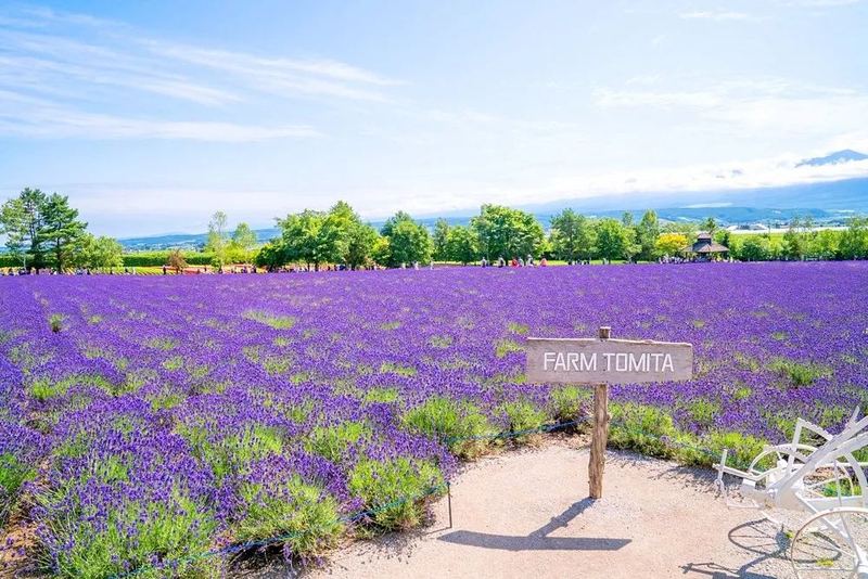 职场性骚扰怎么处理：3个技巧让你不再反复纠结