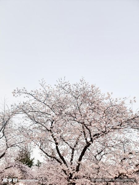 两性关系中如何建立深层次的情感联结（值得收藏）