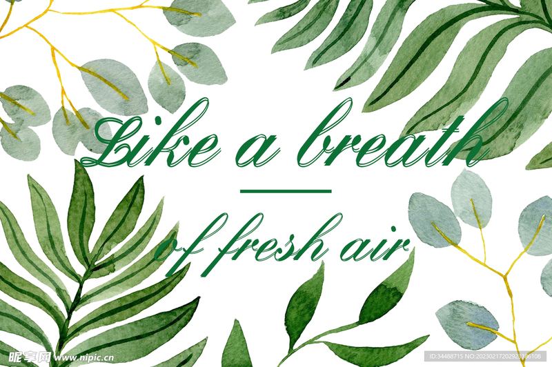 深度好文：怎么走出舒适区的心理学真相