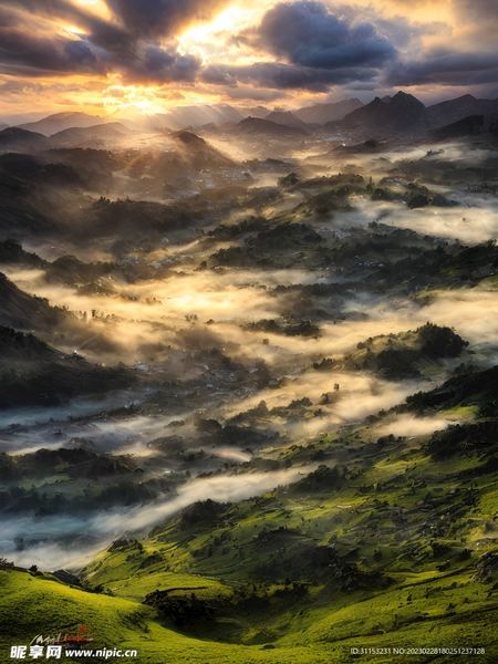 双鱼座为什么容易受伤自救手册：从今天开始改变