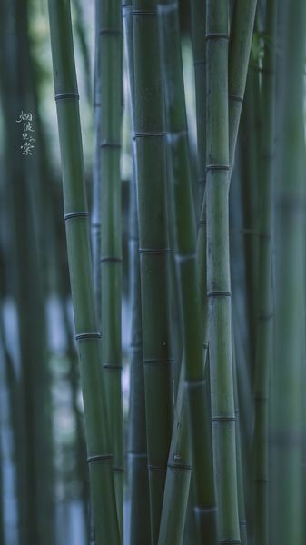 失败了很多次还要坚持吗的6个信号，中3个就该重视了