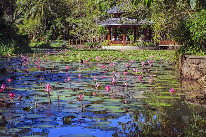 喜欢上已婚的人怎么办？心理咨询师建议你这样做
