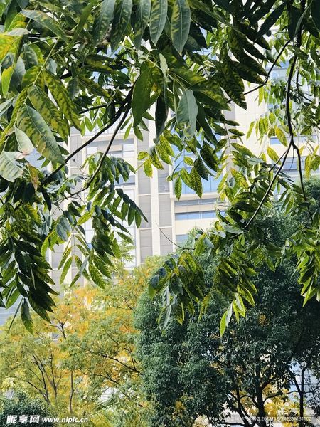 第一次约会聊什么话题？可能你一直理解错了