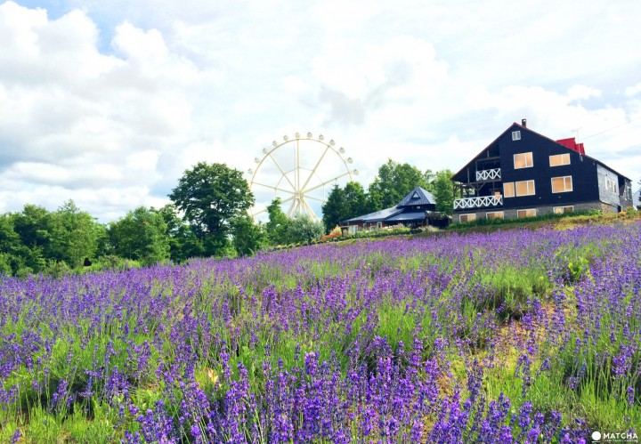 正念减压是什么意思的5个实用方法，第3个最有效